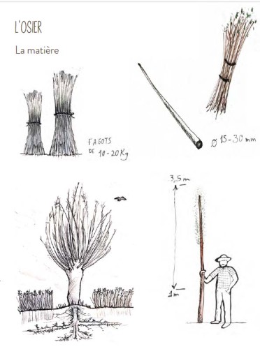 FORMER PAR LE FAIRE : LA PAILLE ET L’OSIER COMME MOTEUR DE REAPPROPRIATION LOCALE 