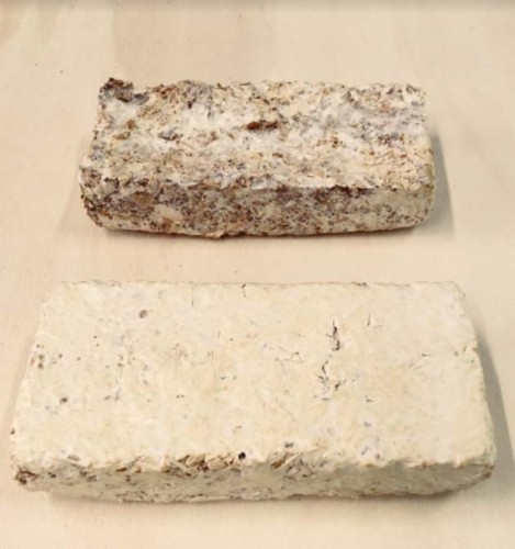 DU VIVANT A L’INNOVANTLe matériau mycelium à la rencontre d'un édifice minier et de son territoire 