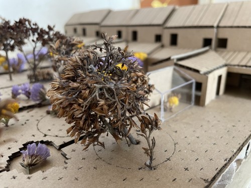 Les jardins des galibots 