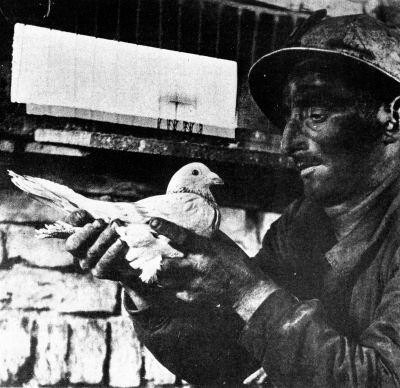 Présentation de la chaire (candidature 2020) 