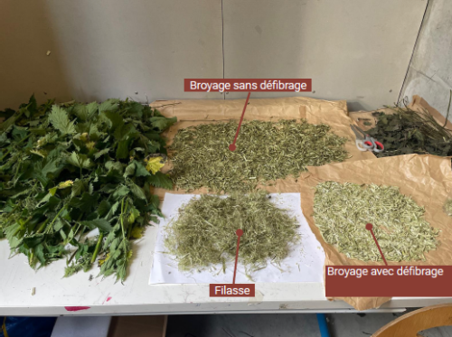 LE PRIEURÉ DE BEAUREPAIRE, ENTRE PATRIMOINE ET EXPÉRIMENTATION_Mise en scène de l'ortie dans la réhabilitation 