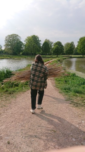 Le faible développement des pertinents biogéosourcés 