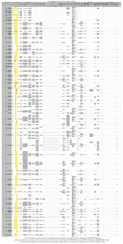 Grille d'analyse procédurale de la participation 